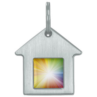 Médaille de chien / Lumière de Jésus