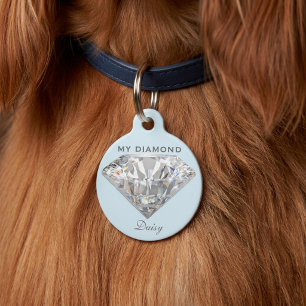Médaille de Compagnon Ronde Personnalisée Bijou de