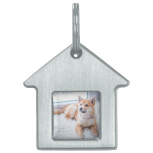Médaille d'identification personnalisée pour chien