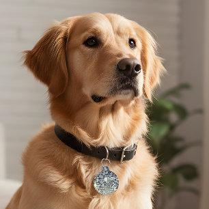 Médaille d'identification Rétro Disco pour animal