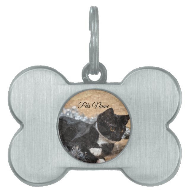 Médaille pour animal de compagnie (Devant)