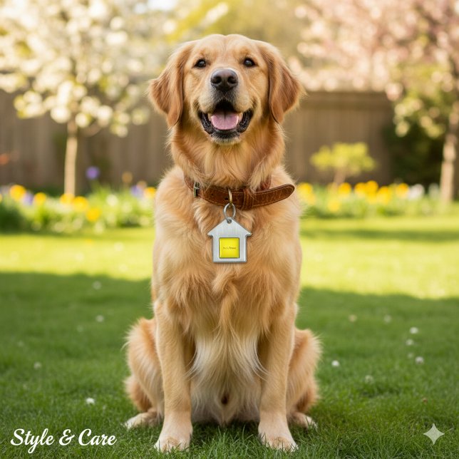 Médaille pour animaux de compagnie en forme de mai (Personalized Custom Name House Shaped Pet Tag)