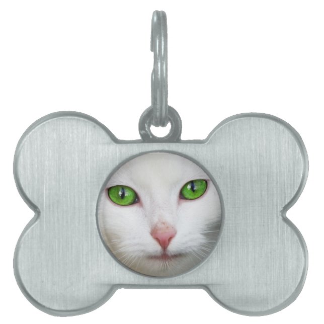 Médaille pour Chat Blanc aux Yeux Verts (Devant)