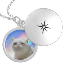 Mon joli casier fils