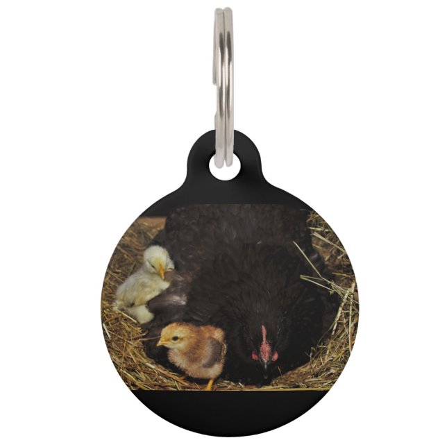 Médaillon Pour Animaux A Mama and Her Chicks (Devant)