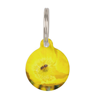 Médaillon Pour Animaux Abeille baignée de jaune 
