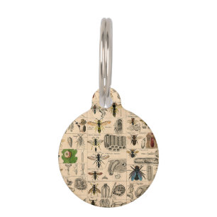 Médaillon Pour Animaux Abeille Insecte Bug Wasp Nature Peinture des abeil