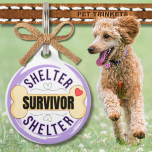 Médaillon Pour Animaux Abri Survivant Os de Chien Violet