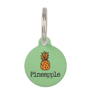 Médaillon Pour Animaux Aiguille verte à fruits tropicaux orange