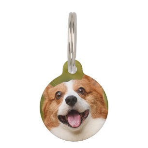 Médaillon Pour Animaux Ajouter photo de chien personnalisé Customisé