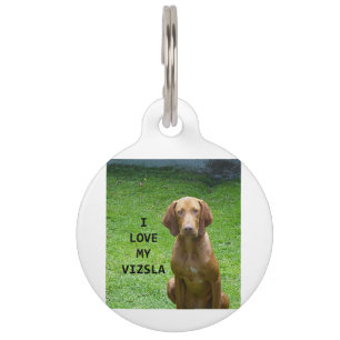 Médaillon Pour Animaux amour de vizsla avec photo