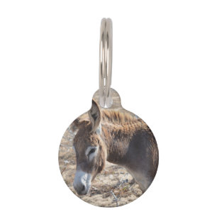 Médaillon Pour Animaux Âne adorable