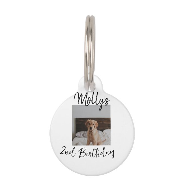 Médaillon Pour Animaux Animateur chien chat animal photo moderne simple (Devant)