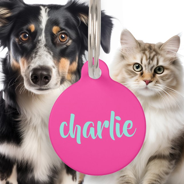 Médaillon Pour Animaux Aqua bleu nom numéro de téléphone script bold rose (Aqua blue name phone number script bold hot pink pet ID tag)