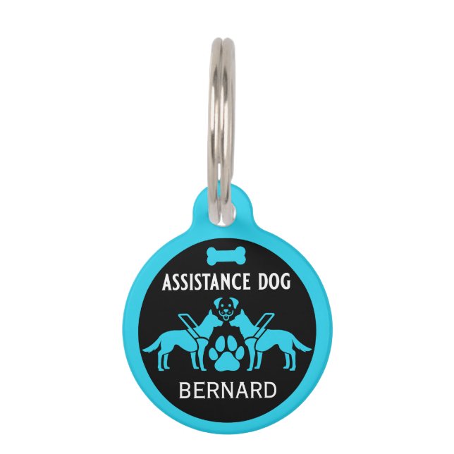 Médaillon Pour Animaux Assistance Dons de chien (Devant)