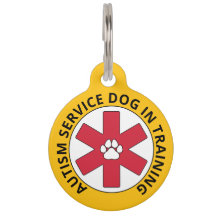 Autisme Jaune Service Chien En Formation