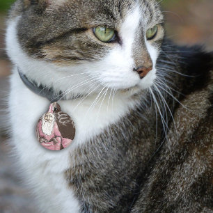 Médaillon Pour Animaux Baguette Magique Étoilée de Vieil Elfe Magicien