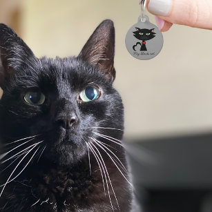 Médaillon Pour Animaux Balise Black Kitty Nom du chat Adresse Gris ID ani