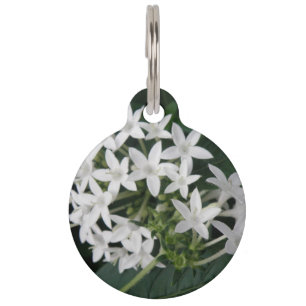 Médaillon Pour Animaux Balise Chien personnalisé Belle Fleurs Tropicales