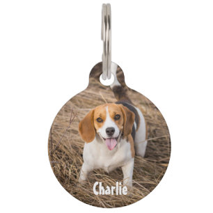 Médaillon Pour Animaux Balise de photo et d'animal de compagnie circulair