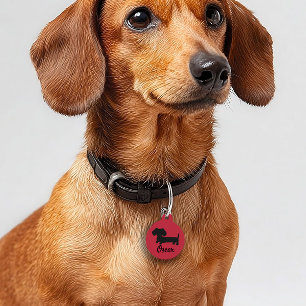 Médaillon Pour Animaux Balise de sécurité Dachshund Balises de chien Wien