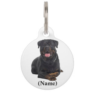 Médaillon Pour Animaux Balise/devis d'animal personnalisé arrondi