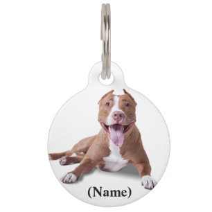 Médaillon Pour Animaux Balise/devis d'animal personnalisé arrondi