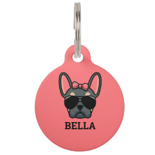 Médaillon Pour Animaux Balise d'identification d'animal de compagnie pour