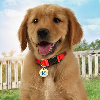 Balise d'identification de chien de monogramme per