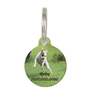 Médaillon Pour Animaux Balise Float Pet ID