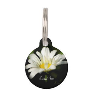 Médaillon Pour Animaux Balise Oxeye Daisy Round Dog