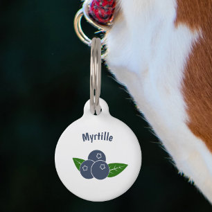 Médaillon Pour Animaux Balise pour animal de compagnie Blueberry