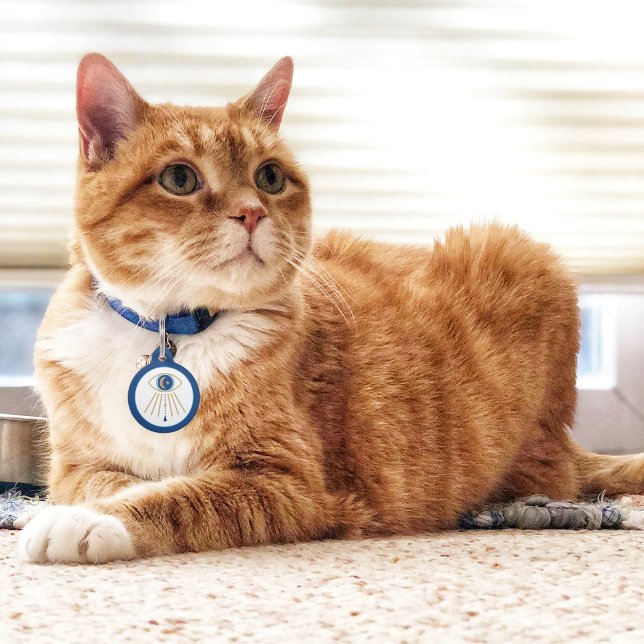 Médaillon Pour Animaux Balise pour animal de compagnie Evil Lune (Créateur téléchargé)