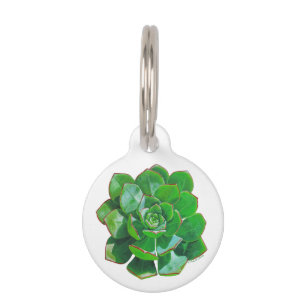 Médaillon Pour Animaux Balise Rosette Succulent Pet