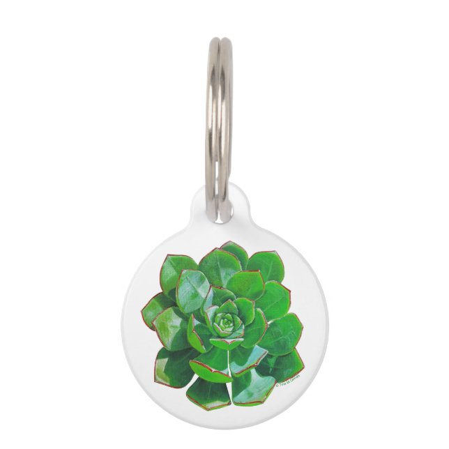 Médaillon Pour Animaux Balise Rosette Succulent Pet (Devant)