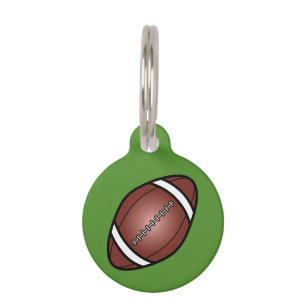 Médaillon Pour Animaux Balle De Football En Couleur Arrière - plan Verte
