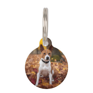 Médaillon Pour Animaux Basenji dans les feuilles d'automne qui tombent in