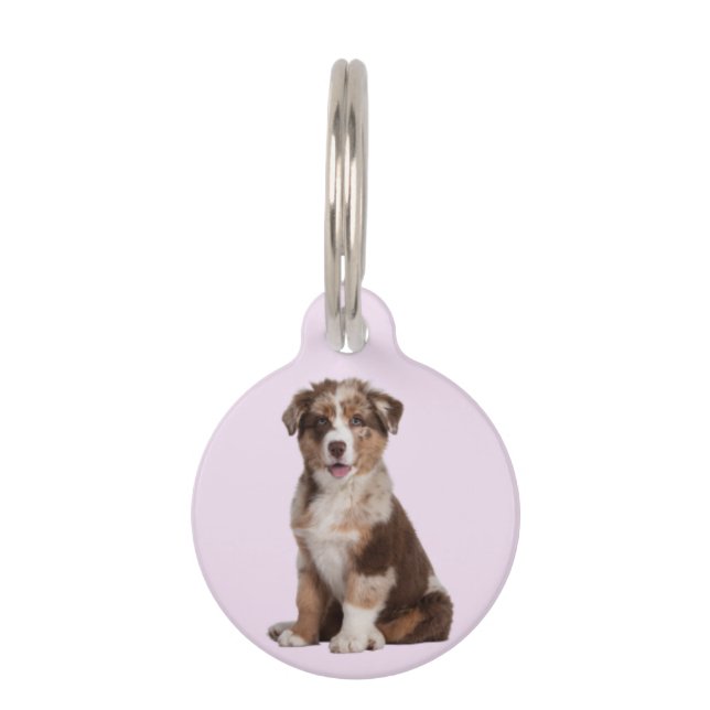 Médaillon Pour Animaux Berger australien | (Devant)