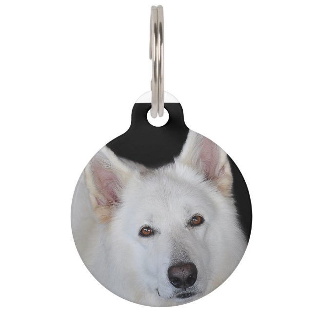 Médaillon Pour Animaux Berger Blanc Suisse (Devant)
