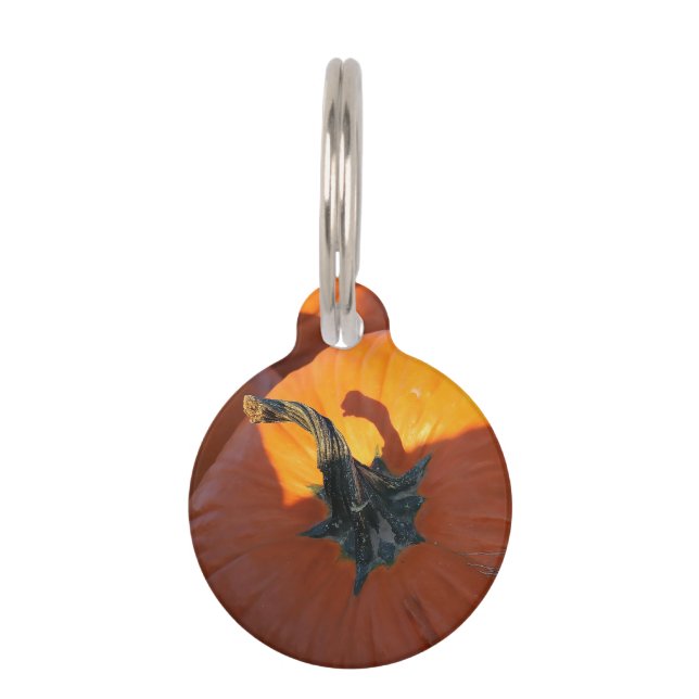 Médaillon Pour Animaux Big Orange Pumpkin  (Devant)