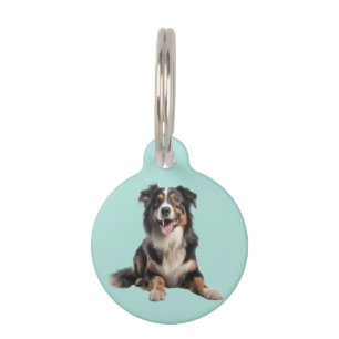 Médaillon Pour Animaux Black Merle Australian Shepherd