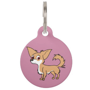 Médaillon Pour Animaux Blanc et chiwawa de faon avec de longs cheveux