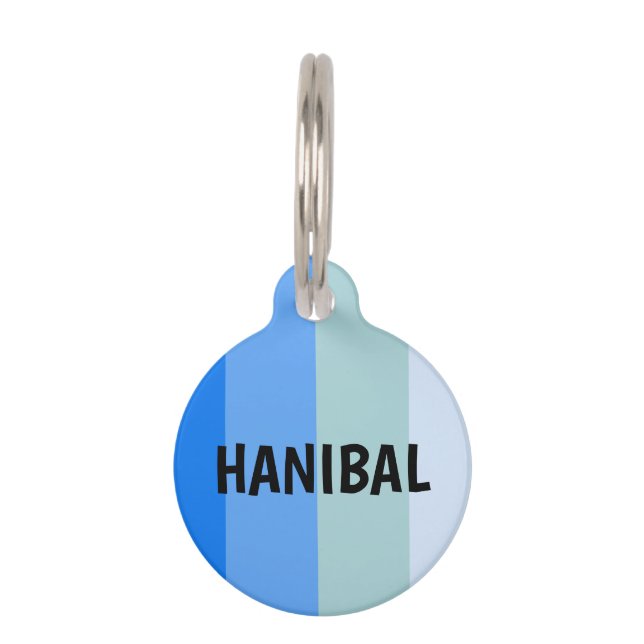 Médaillon Pour Animaux Bleu (Devant)