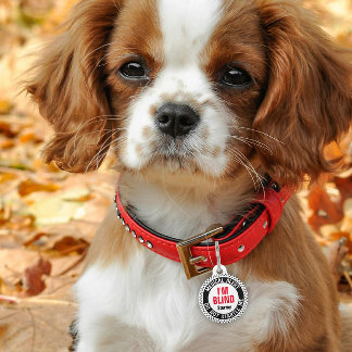 Médaillon Pour Animaux Blind Pet alerte Médicale Nom personnalisé Black R