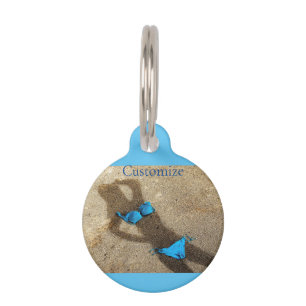 Médaillon Pour Animaux Blue Bikini Beach Sand Thunder_Cove