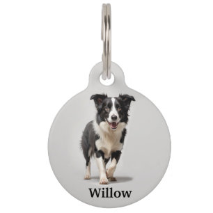 Médaillon Pour Animaux Border Collie Personnalisé