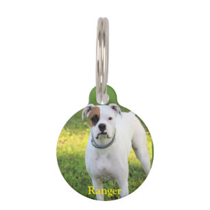 Médaillon Pour Animaux Boxer