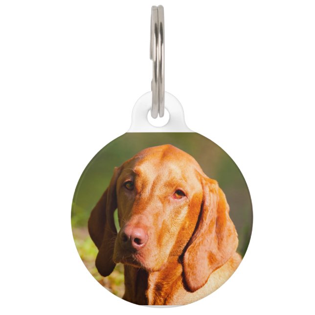 Médaillon Pour Animaux Braque hongrois (Devant)