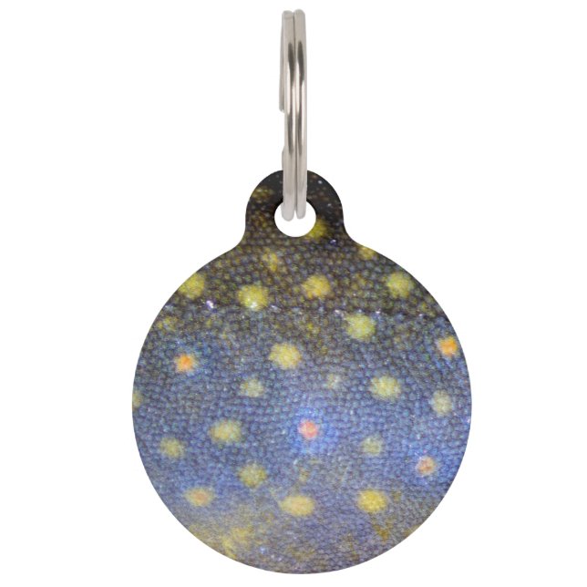 Médaillon Pour Animaux Brook Trout Scales (Devant)