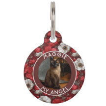 Cadeau Beau Chat Papa Anémones Fleur